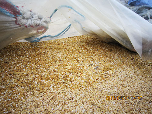 カビの発生はなかった。（密閉がよい）サイレージの臭気は非常によかった。