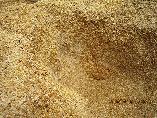 乾燥しており水分のむらがあった。