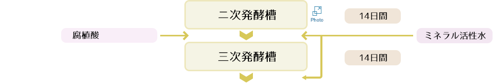 ニ次/三次醗酵槽