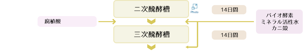 二次・三次発酵槽